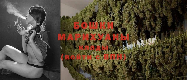 крисы Зерноград
